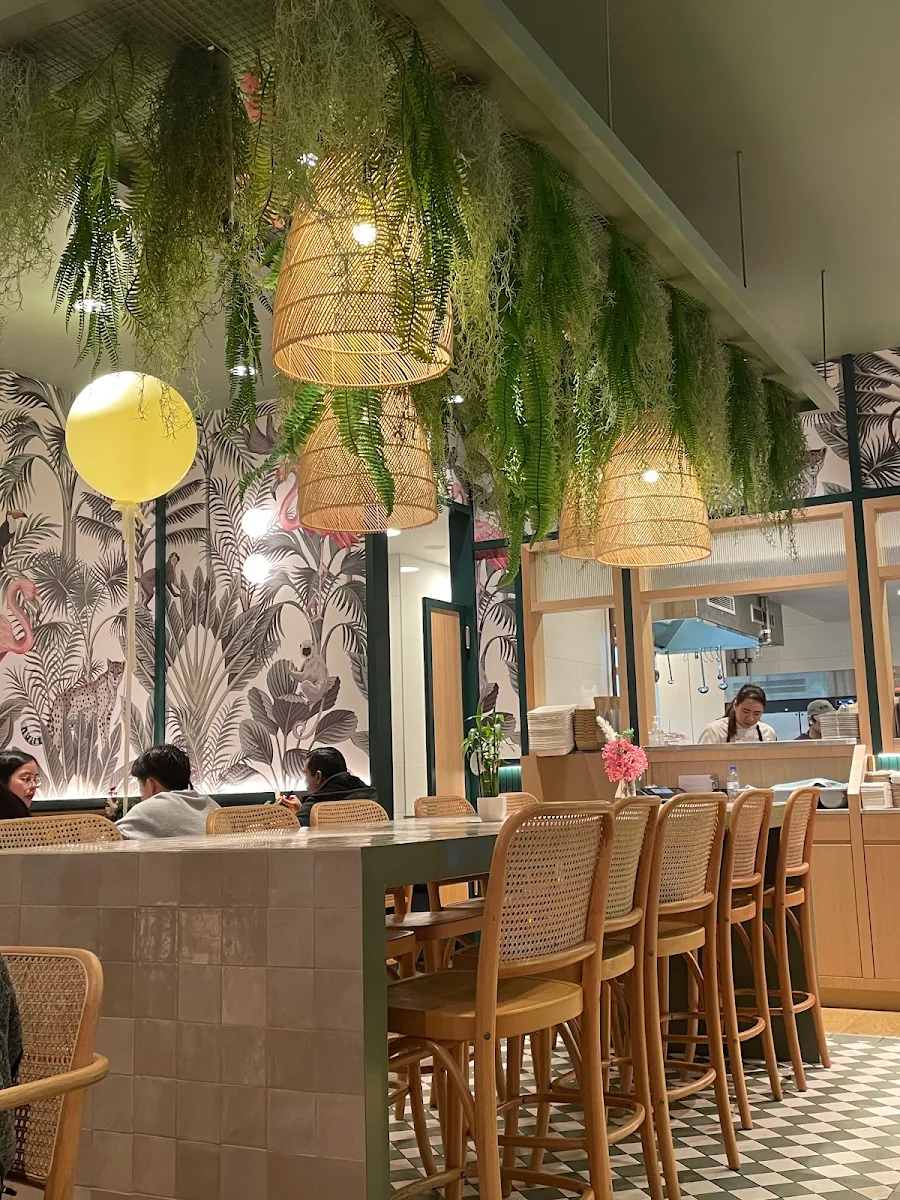 Vibe, Urban Jungle Cafe