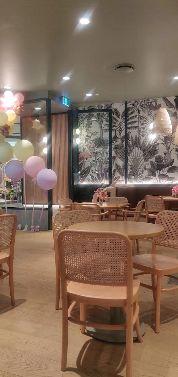 Vibe, Urban Jungle Cafe