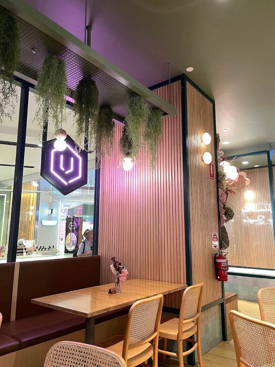 Vibe, Urban Jungle Cafe