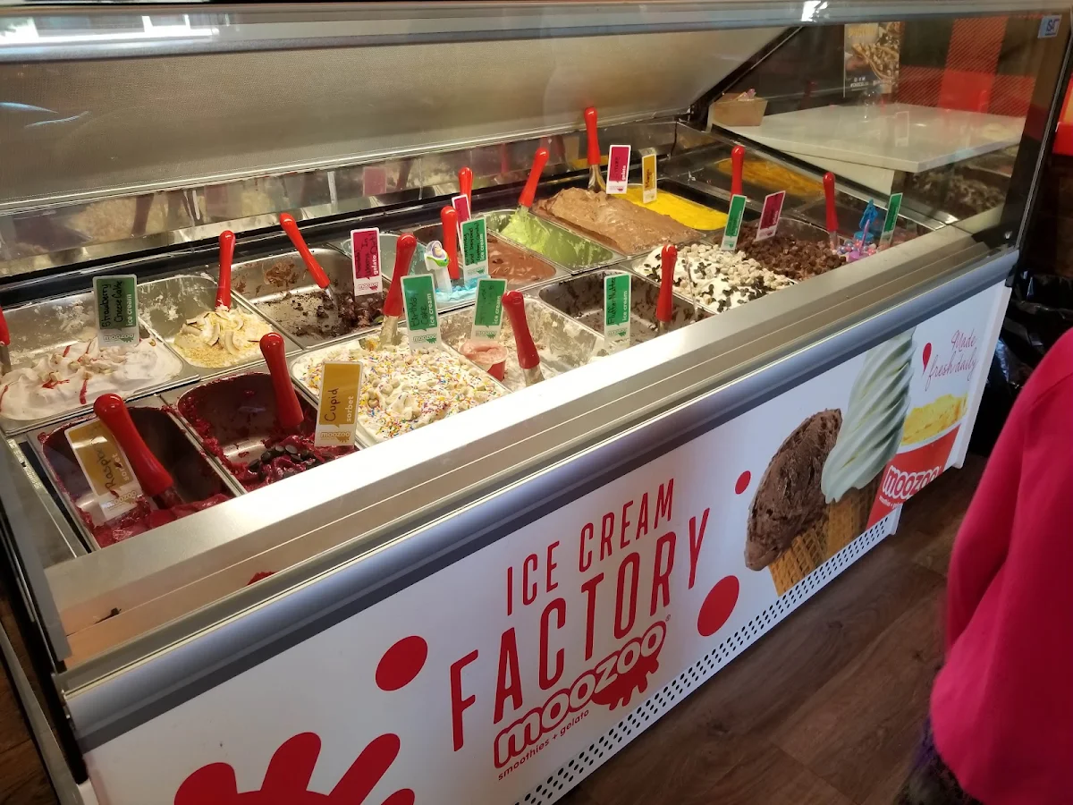Vibe, BeaverTails- Queues de Castor (Clear Lake)