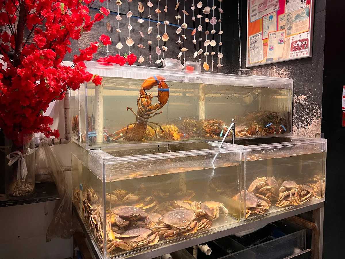 Vibe, Saigon Star Restaurant