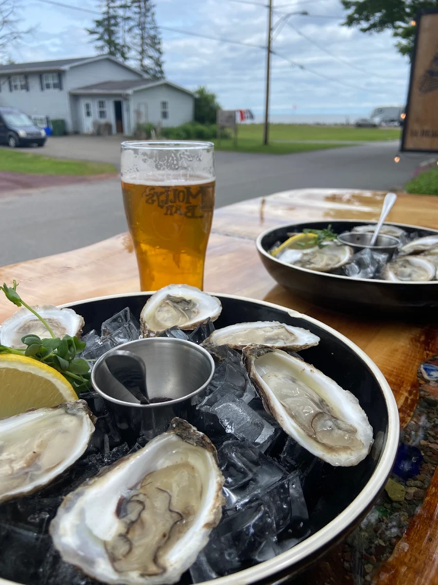 Food & drink, Old Molly's Bar