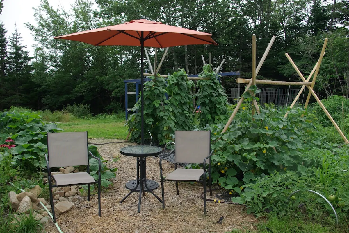 Vibe, Lupin Dining & Pantry