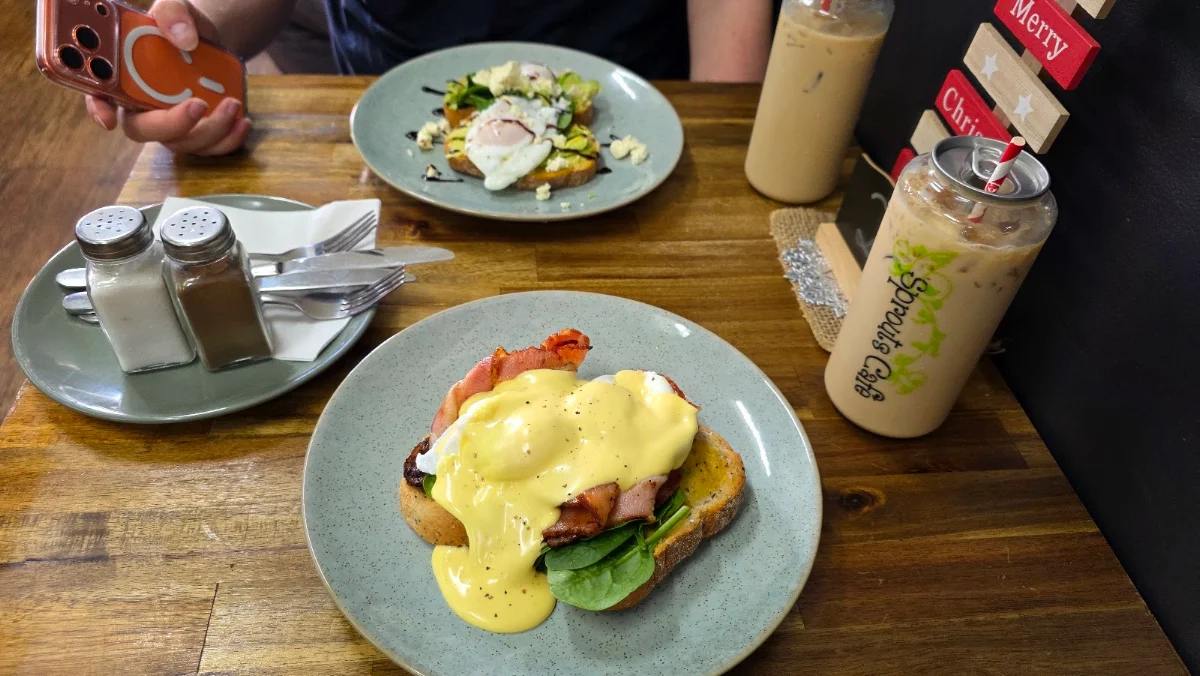 Food & drink, Sprouts Cafe