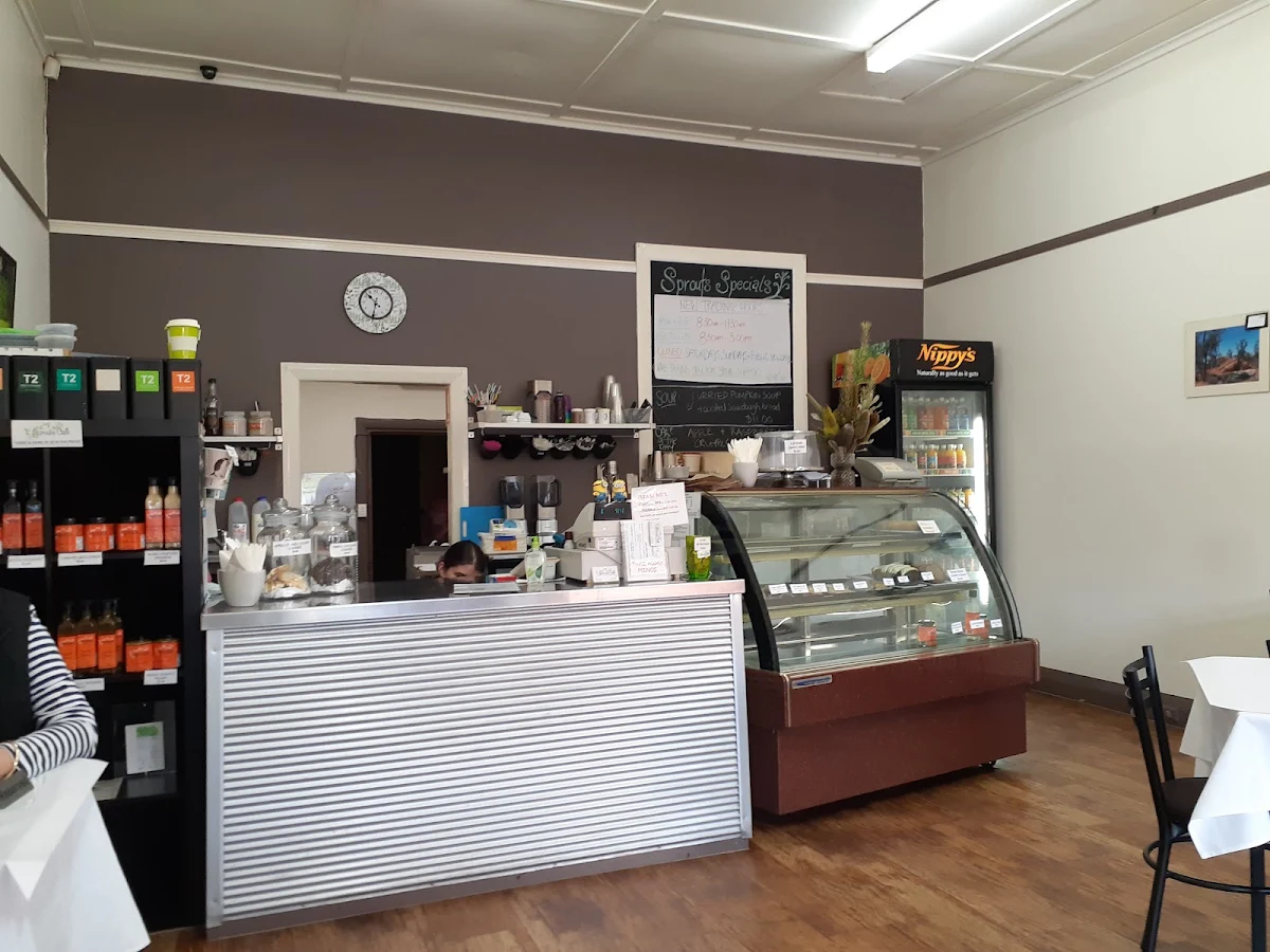 Vibe, Sprouts Cafe