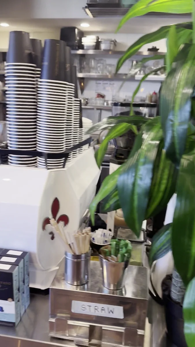 Vibe, Cafe Mosman