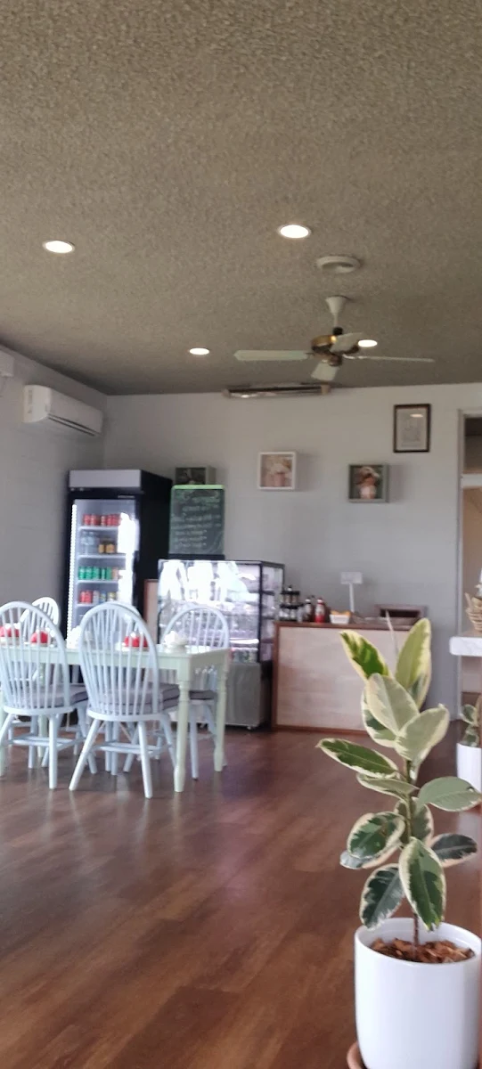 Vibe, Seaside cafe & restaurant