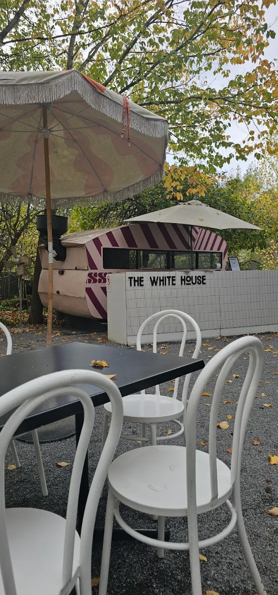Vibe, The White House