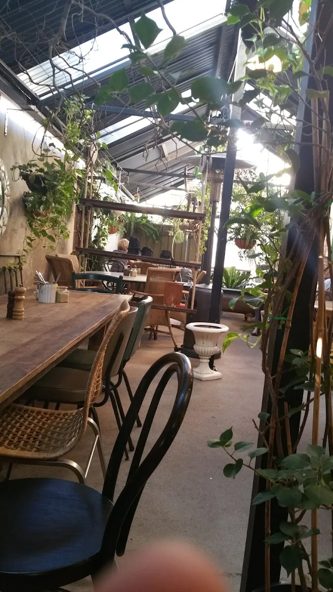 Vibe, Cafe 45