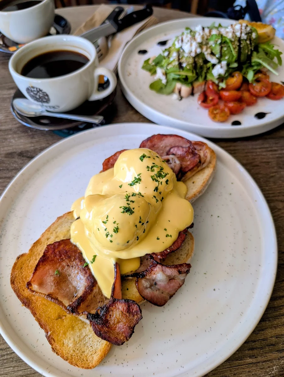 Food & drink, Roamer Brisbane Bar/Cafe