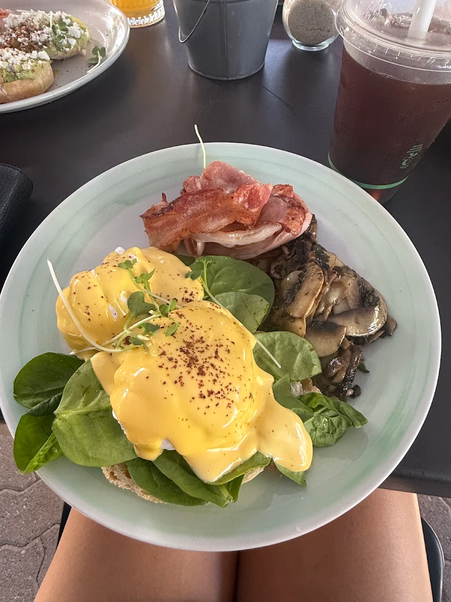 Food & drink, Early Bird - Magnetic Island