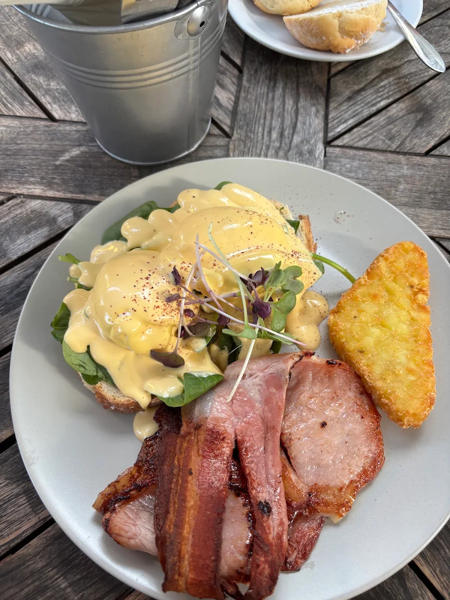 Food & drink, Early Bird - Magnetic Island