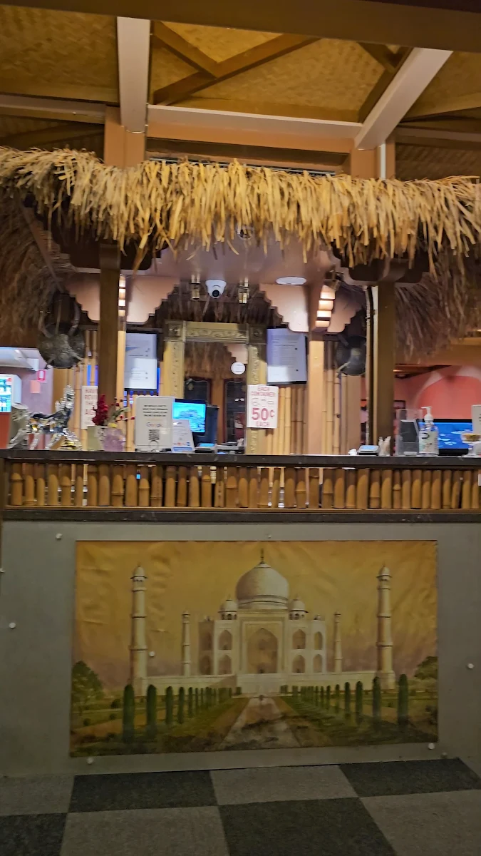 Vibe, Punjabi Palace