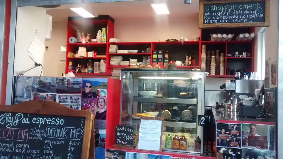 Vibe, Lilypad Espresso Bar