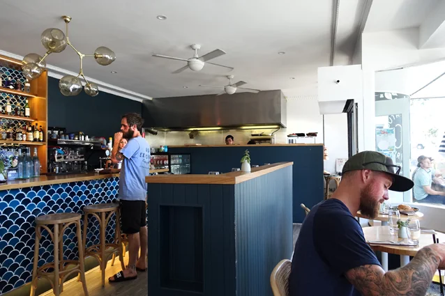 Vibe, South Sailor