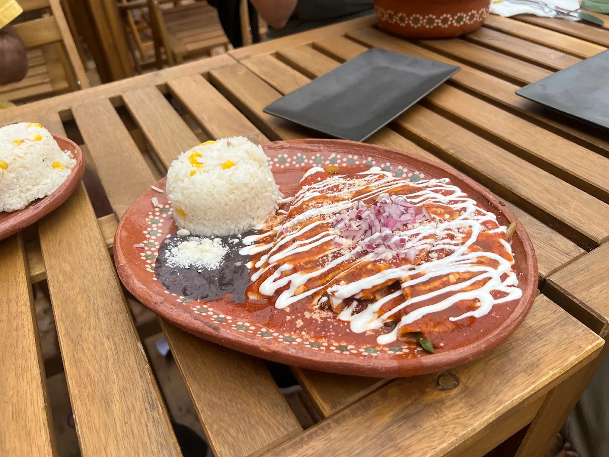 Food & drink, Restaurant Agave - Saint-Jean-sur-Richelieu