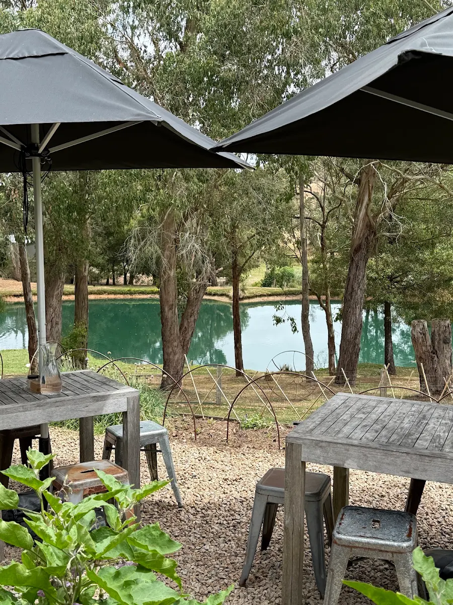 Vibe, Green Olive at Red Hill