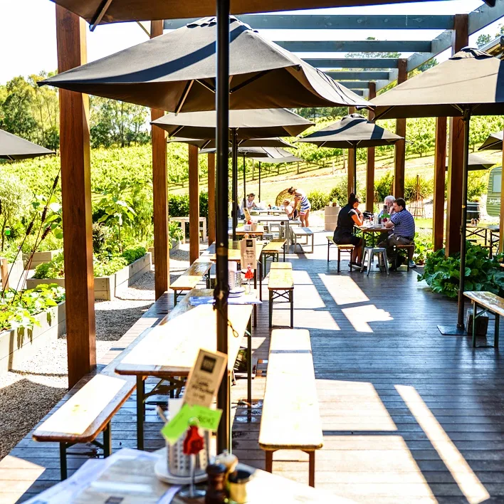 Vibe, Green Olive at Red Hill