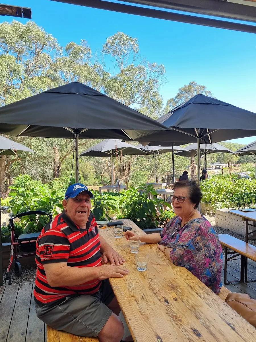 Vibe, Green Olive at Red Hill