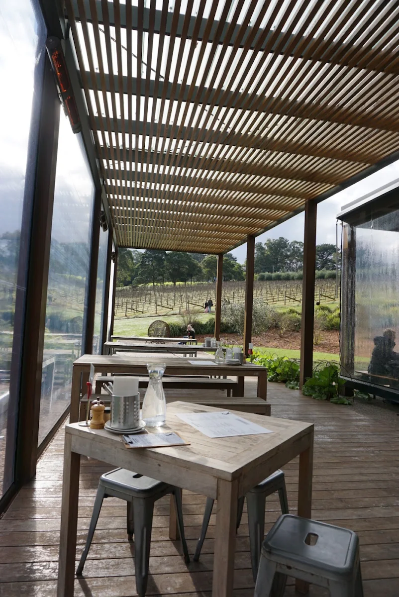 Vibe, Green Olive at Red Hill
