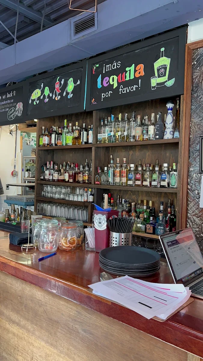Vibe, The Mule Burlington (Formerly Burro)