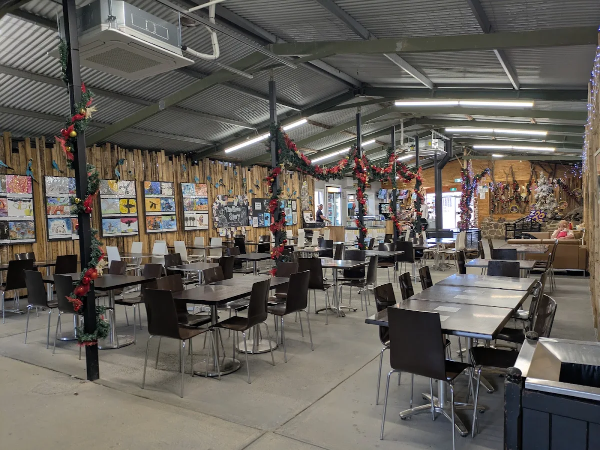 Vibe, Hobart Zoo and Aquarium Bakari’s Roar Cafe