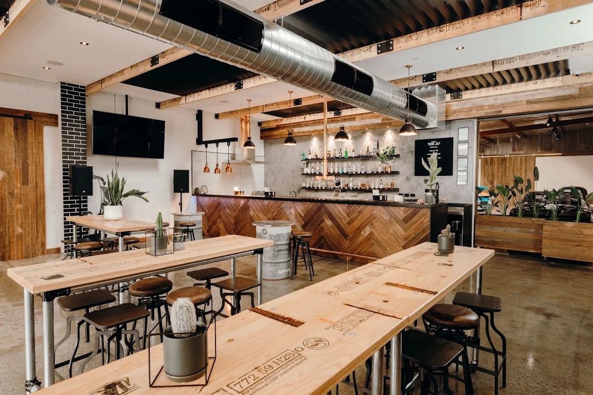 Vibe, The Budgie Bar