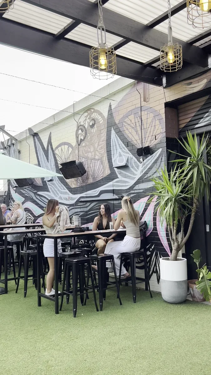 Vibe, The Budgie Bar