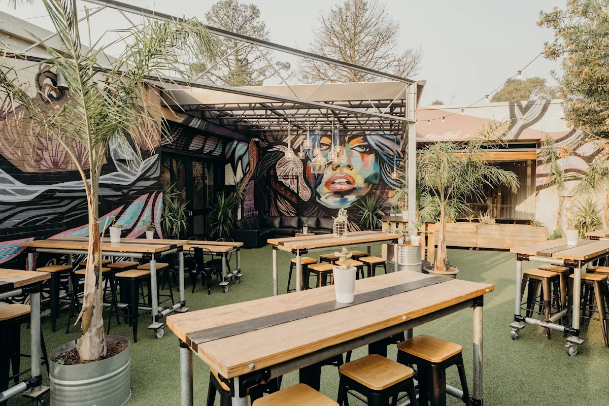 Vibe, The Budgie Bar