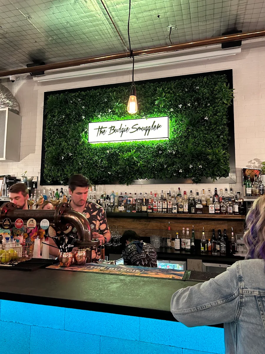 Vibe, The Budgie Bar
