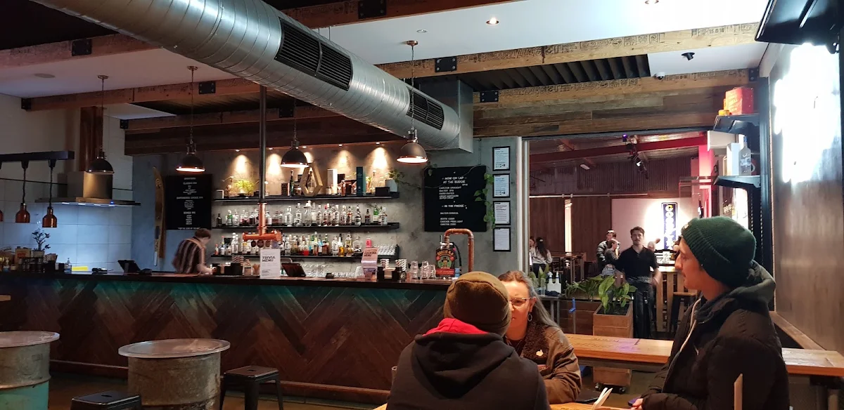 Vibe, The Budgie Bar