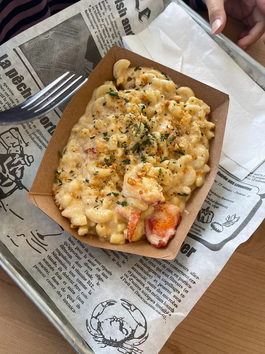 Food & drink, Oktopus
