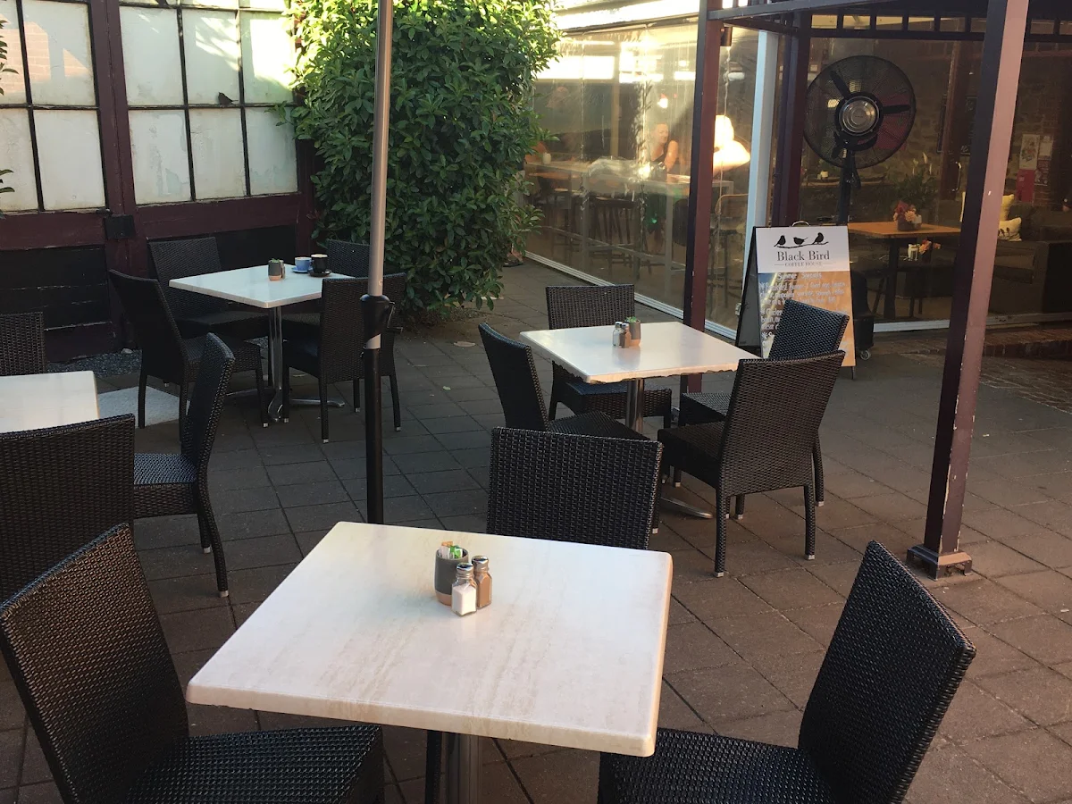 Vibe, Black Bird Coffee House