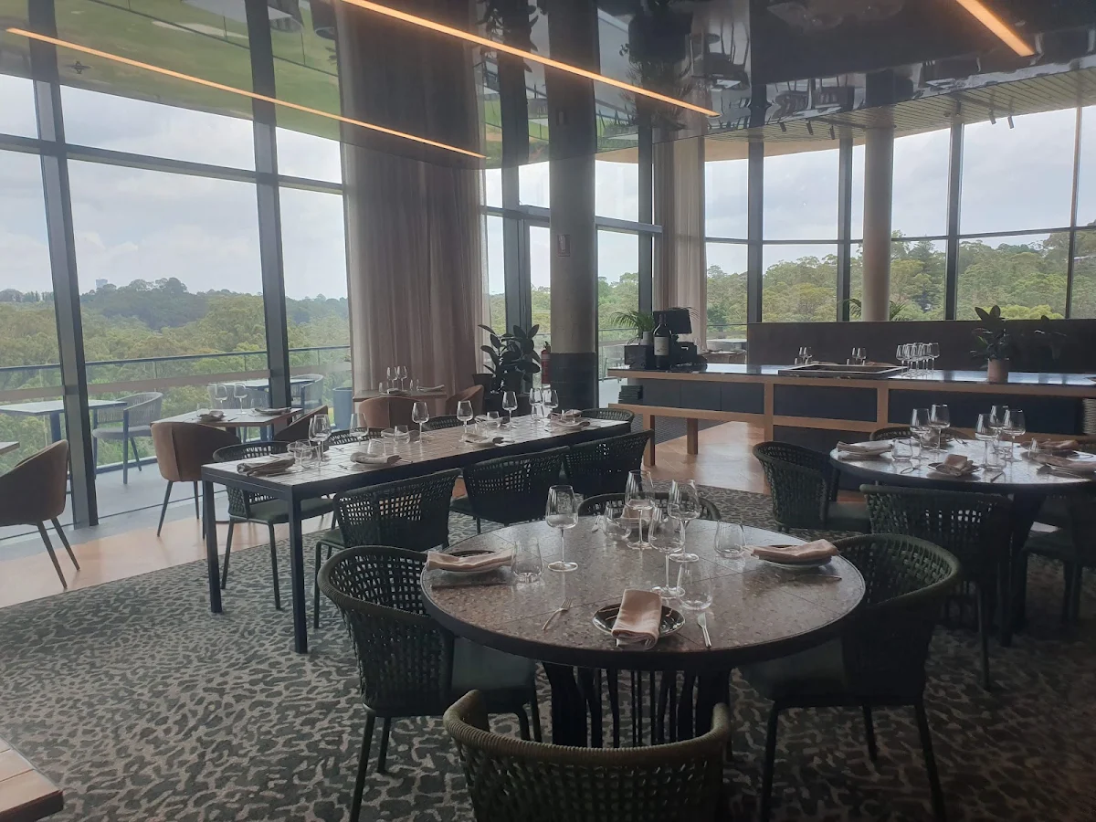 Vibe, Dodici Italian Restaurant | Chatswood