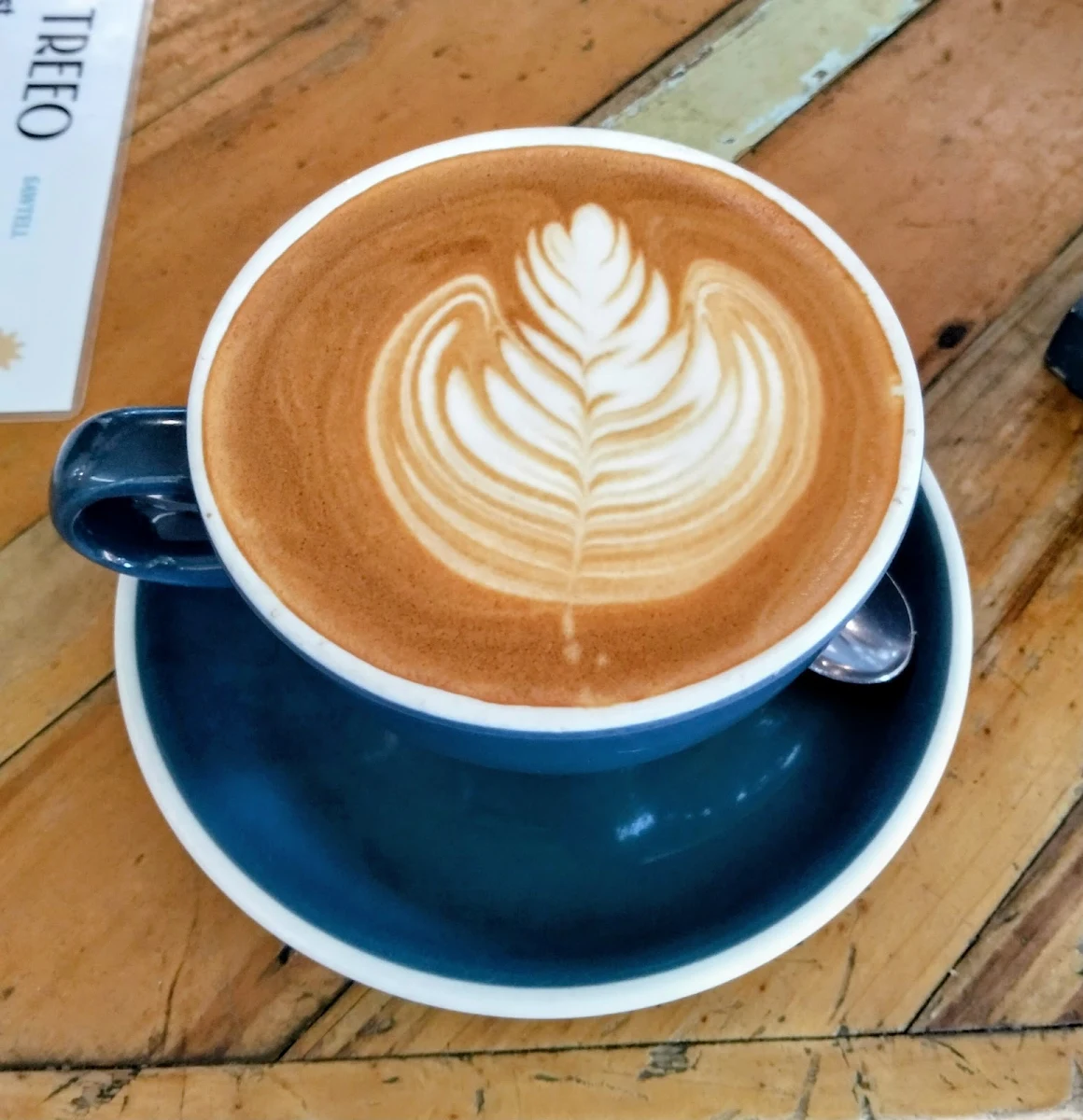 Food & drink, Cafe Treeo