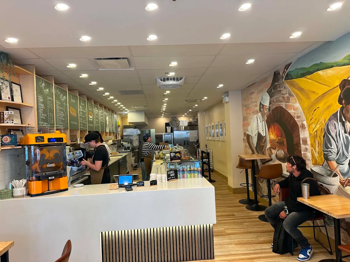 Vibe, Pressato Sandwich Bar