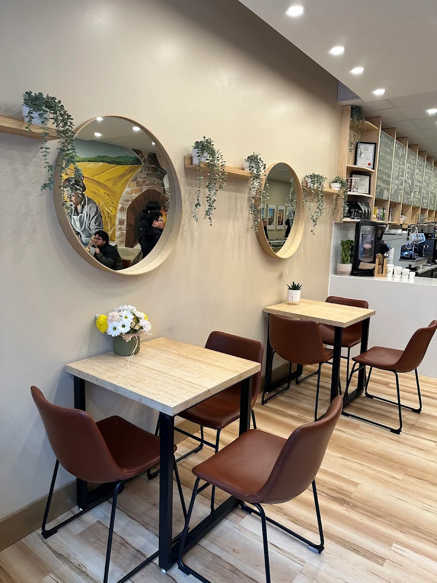 Vibe, Pressato Sandwich Bar