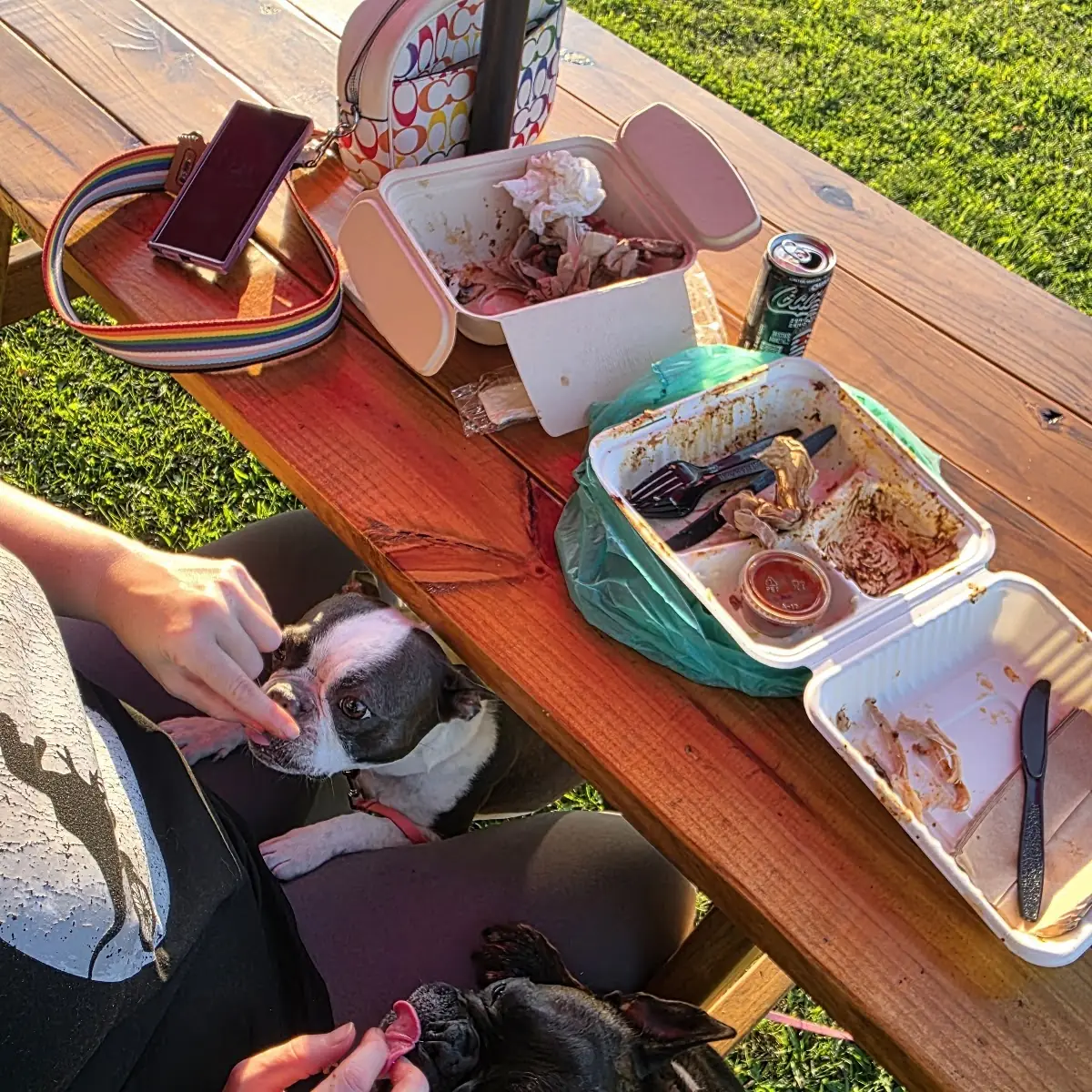 Food & drink, Texas Barbecue of Canada