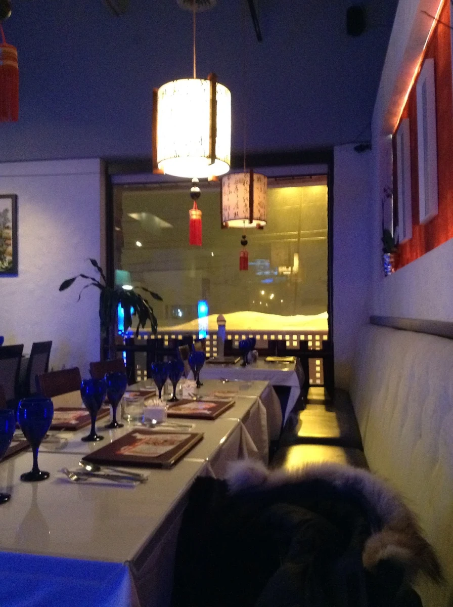 Vibe, Pho Ha Noi