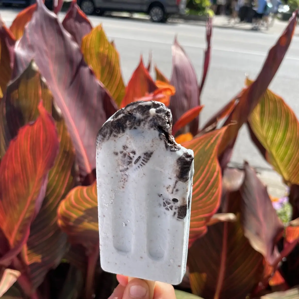 Food & drink, Chef and Bub Gourmet Popsicles + Ice Cream