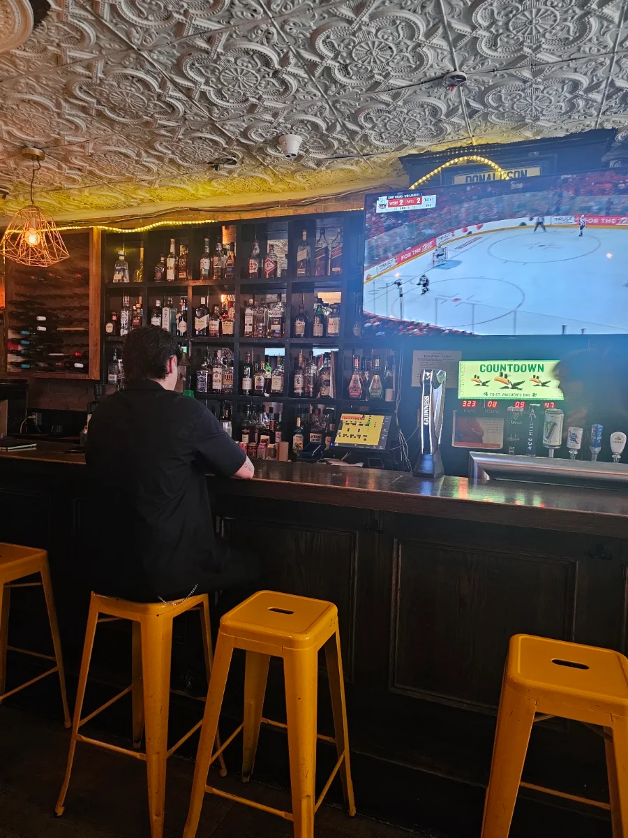 Vibe, The Dog's Bollocks Pub