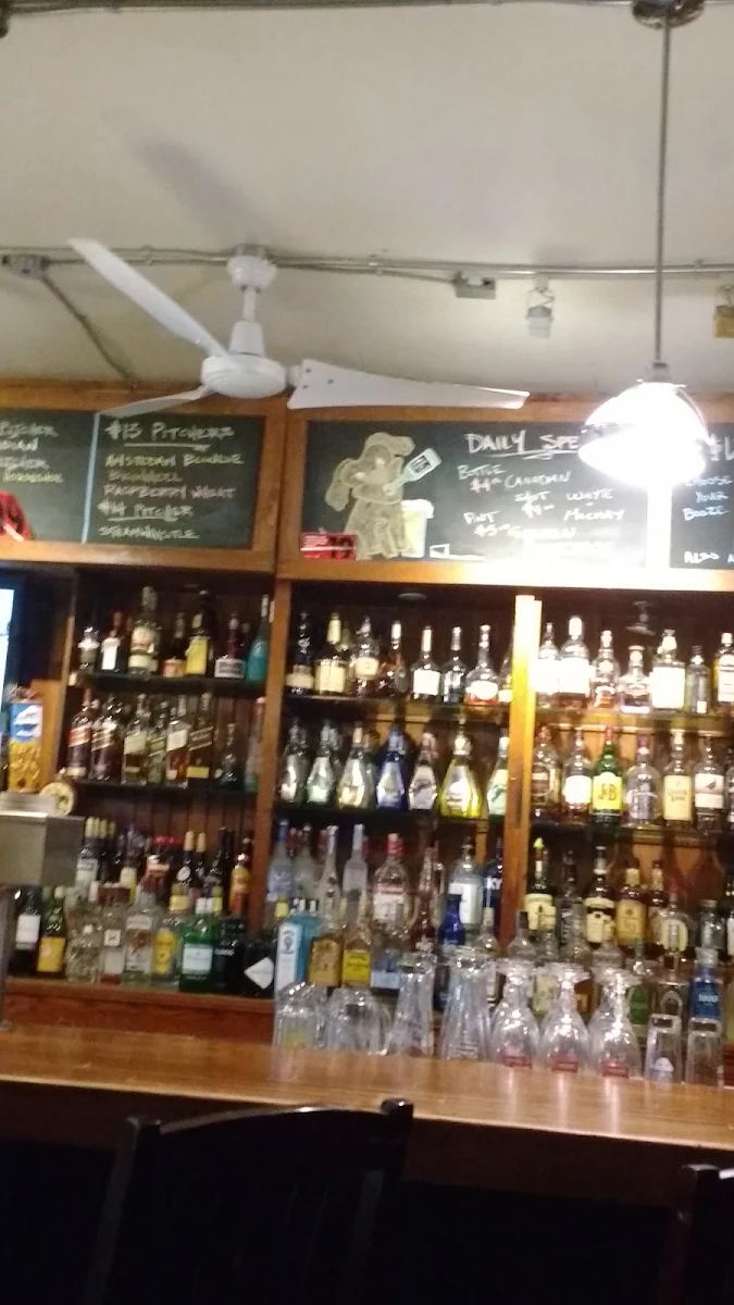 Vibe, The Dog's Bollocks Pub