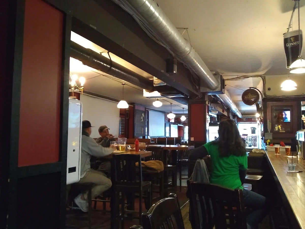 Vibe, The Dog's Bollocks Pub