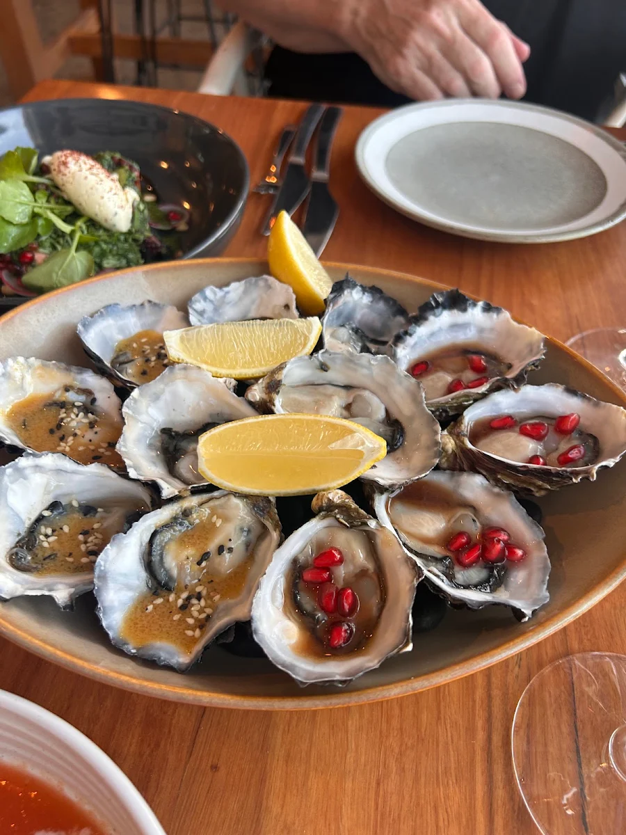 Food & drink, Bills Fishhouse & Bar