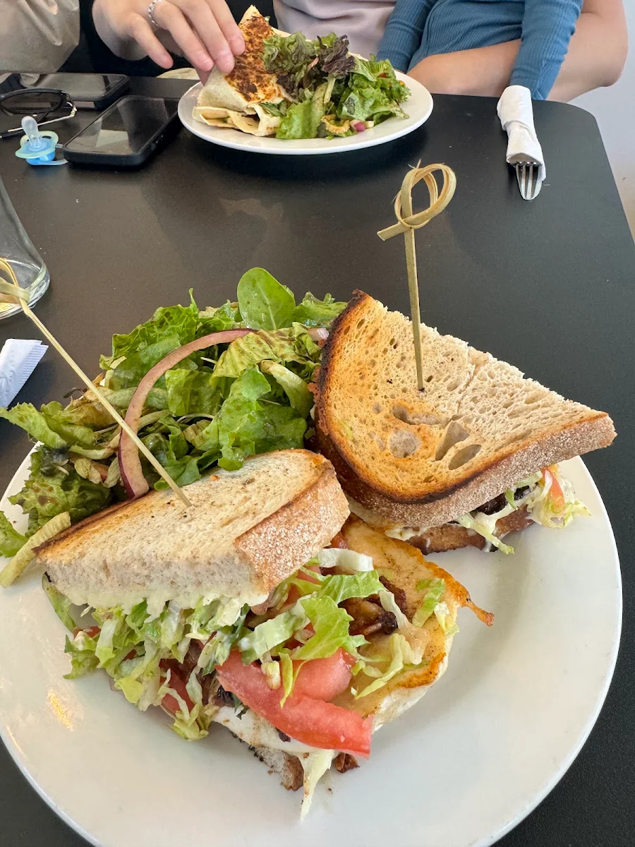 Food & drink, Harbour House Tap & Kitchen