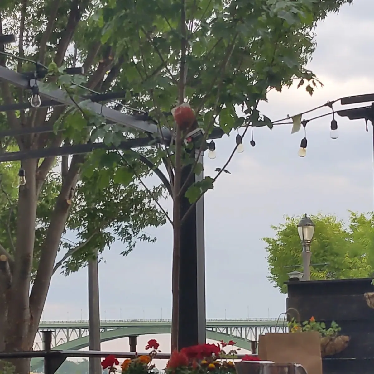 Vibe, Vaticano Italian Restaurant Fort Erie