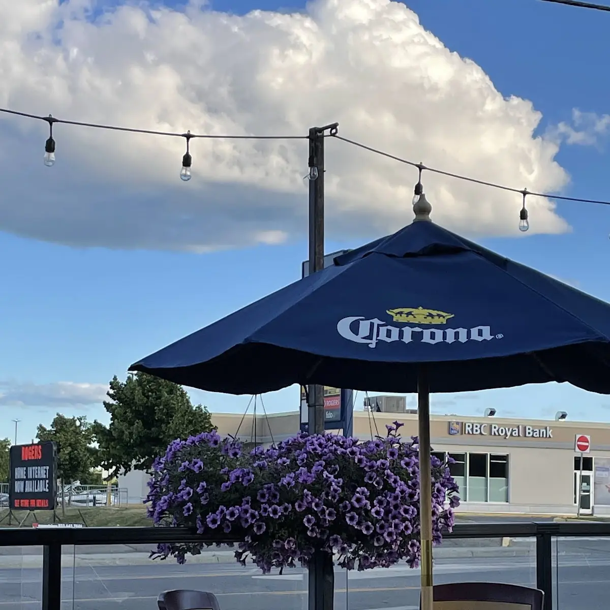 Vibe, The Barley Mow (Brockville)