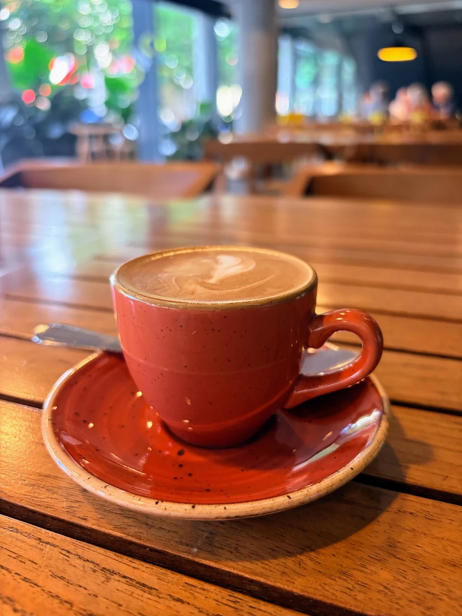 Food & drink, Olio Cafe & Bar