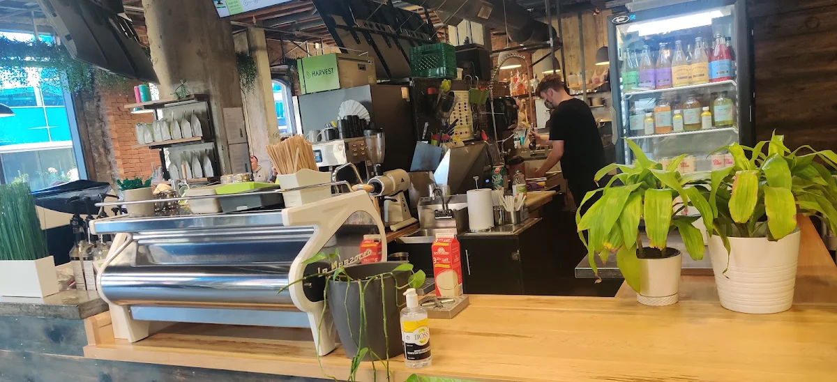 Vibe, HARVEST Clean Eats (Downtown Halifax)