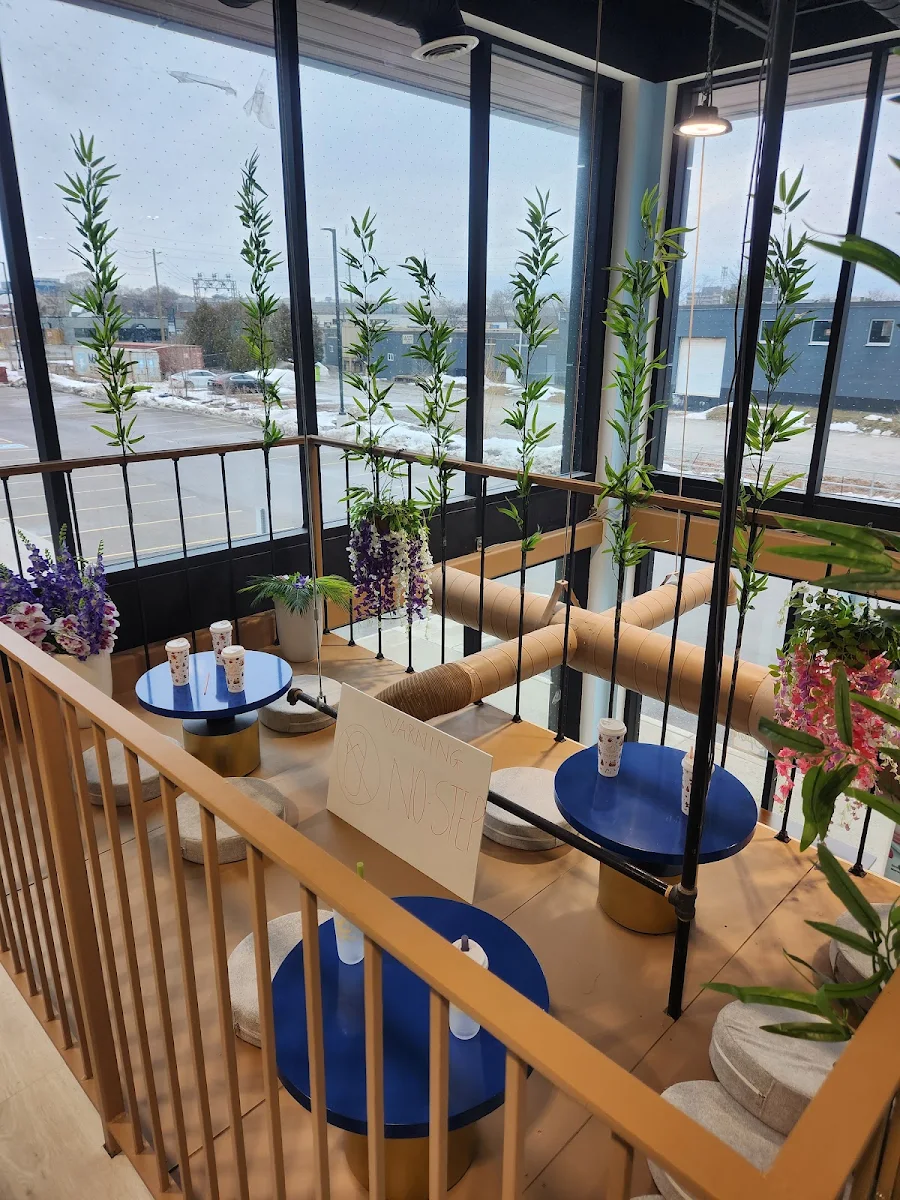 Vibe, FeelFree Tea and Snack House